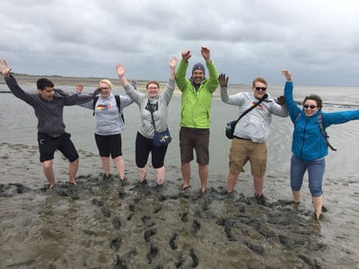 Watt in the North Sea, while visiting Norderney; GAPP 2018 adventures in the bog