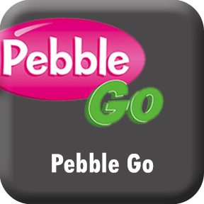 Pebble Go button